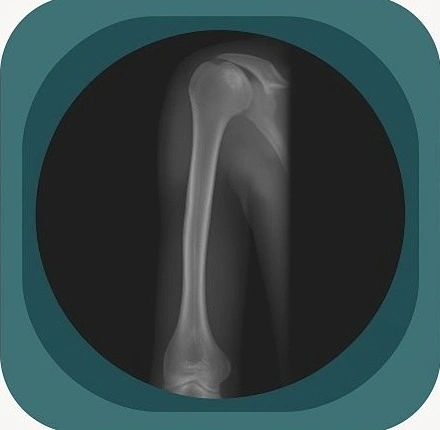 x ray  humerus anatomy icon-1771230511